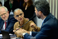 Senador bate boca com Marina Silva: 