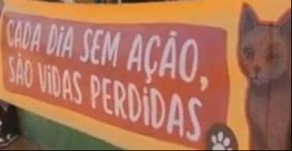 Ativistas da causa animal pedem por hospital veterin